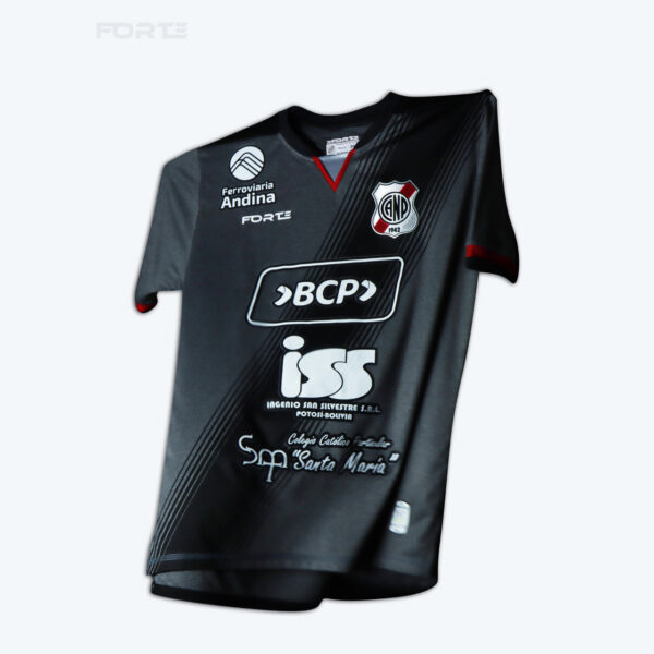 CAMISETA ALTERNA NACIONAL POTOSÍ 2024