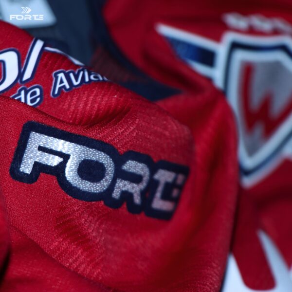 CAMISETA SUDAMERICANA 2022 WILSTERMANN