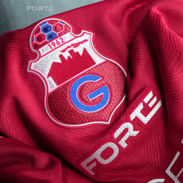 CAMISETA OFICIAL 2025