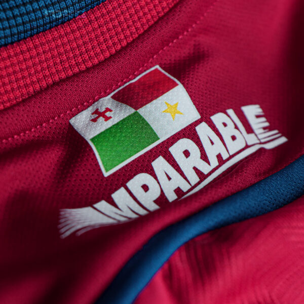 CAMISETA OFICIAL 2025