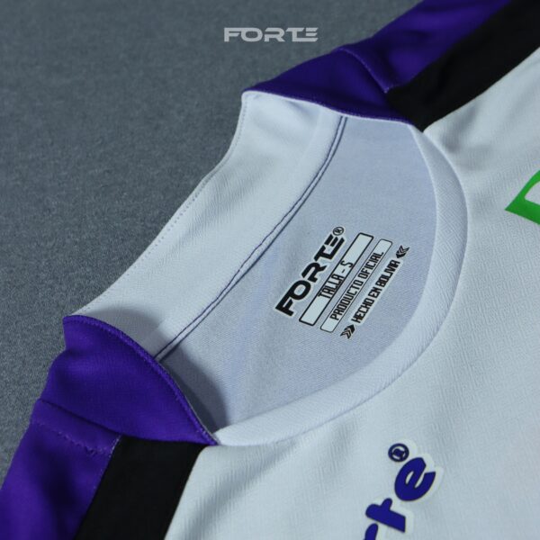 CAMISETA OFICIAL LIBERTADORES 2012 REAL POTOSÍ