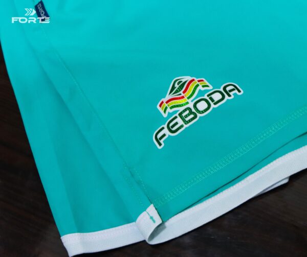 CONJUNTOS FEBODA 2025